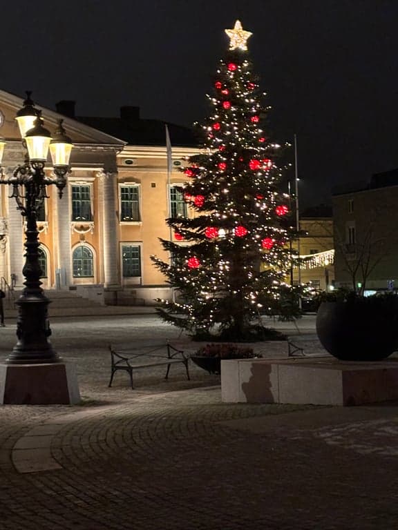 En julgran till-25